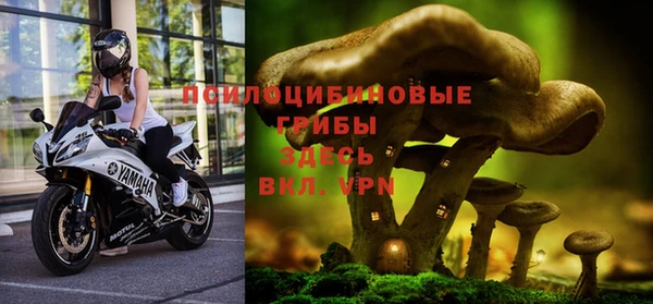 2c-b Абаза